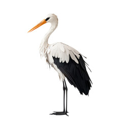 Obraz premium Elegant papercraft stork with white and black feathers standing on a transparent background, showcasing detailed craftsmanship and artistic design Concept of nature, wildlife, and handmade art