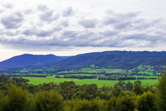 A landscape of grasslands in Melbourne.