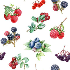 Hand drawn berries seamless pattern. Fresh blueberry, raspberry, blackberry, elderberry on white background. Different garden berries vintage style illustration bright seamless pattern design element