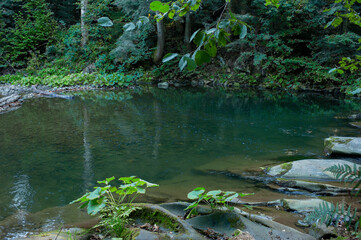 spring forest nature landscape,  beautiful spring stream, river rocks in mountain forest