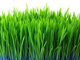 Grass in Vivid Green and Deep Blue