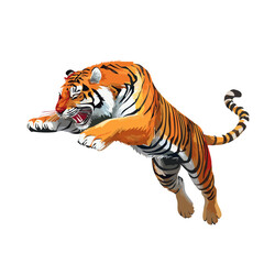 drawing of a tiger jumping