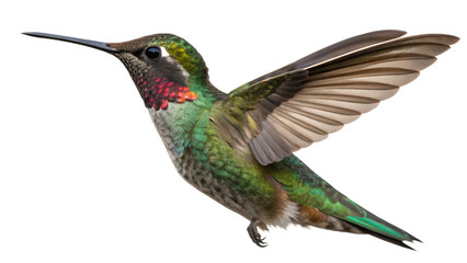 Obraz premium Calibri. 