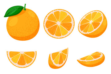 Orange whole and sliced set isolated on white background. Vector illustration. Citrus tropical fruit design elements