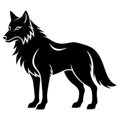 wolf vector illustration