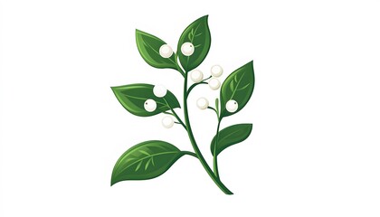 Obraz premium Green sprig with white berries and leaves