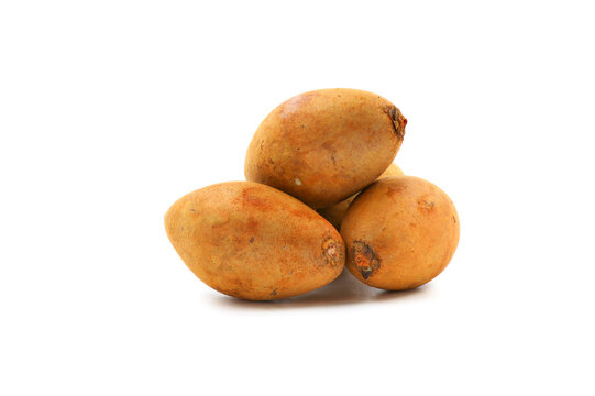 sapodilla fruit  isolated on the white background