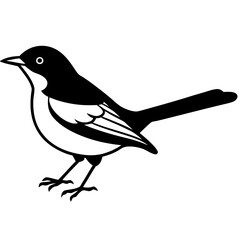 Warbler bird vector on white background.