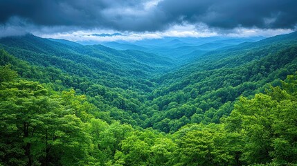Fototapeta premium Rainforest scenes nature concept. A serene view of lush green mountains under a moody sky, perfect for nature lovers.