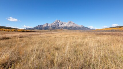 Fototapeta premium Autumnal mountain vista, golden grasses, clear sky, peaceful landscape, nature photography