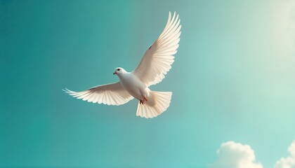 Obraz premium White dove flies freely in light turquoise sky. Beautiful bird peace, hope. Natural scene. Spiritual imagery. Perfect design element for faith-based projects. Ideal for uplifting projects. Evokes