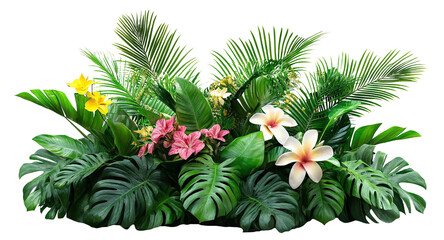 Lush green tropical plants with exotic flowers, isolated on transparent cutout background	