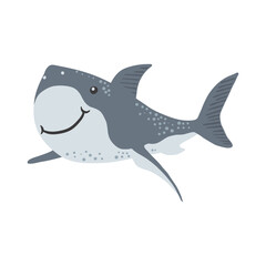 Funny shark fish isolated on white background