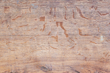 The old wood texture with natural patterns