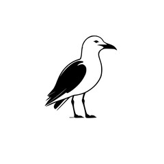 Elegant Seagull: A Black and White Vector Illustration of a Seabird