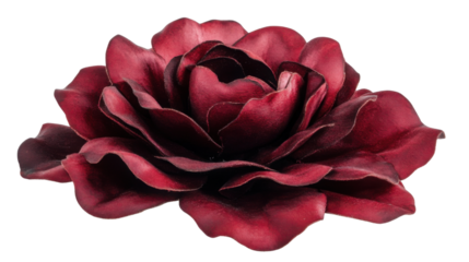 Blooming red rose isolated on transparent background