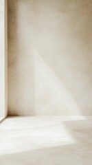 Minimalist interior space with natural light and neutral tones