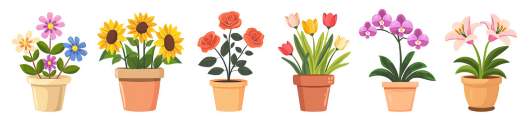 Obraz premium PNG Colorful potted flowers illustration, isolated element set, transparent background