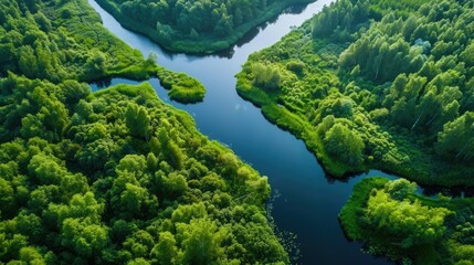 Aerial view of a winding river through a lush green forest. Nature landscape, waterway, ecosystem, serene scenery.