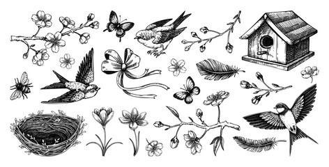 Hand-drawn spring sketches. Flying birds, sakura flowers, birdhouse, saffron vector illustrations. Easter design elements. NOT AI generated