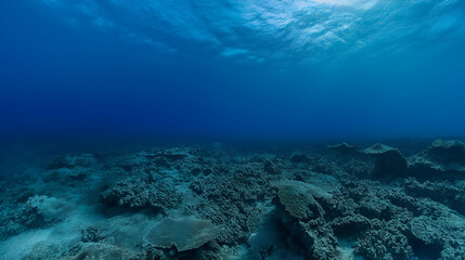 Fototapeta premium Dark blue ocean surface seen from underwater.