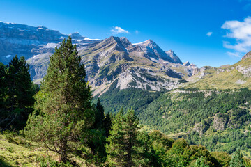A mountain range with a clear blue sky and trees in the foreground