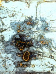 Close up of Heavily Rusted Blue Steel Metal Plate with Orange corrosion Close Up Background