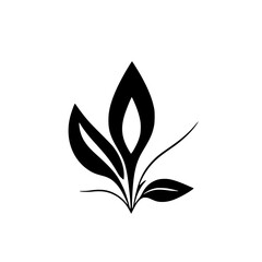 Elegant Black and White Floral Design: Minimalist Botanical Leaf Illustration, Simple Nature Plant Vector Graphic