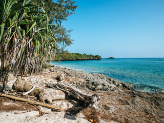 Chumbe Island in Zanzibar