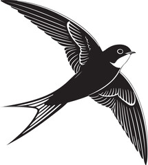 Isolated black swift icon Vector, black swift Silhouette,black swift icon set, black swift for logo,color black swift Vector illustration, Vector Graphic, EPS 10 , clip art work