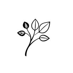 Elegant Botanical Line Art: Simple Branch with Leaves Illustration. Perfect for minimalist designs, nature-themed projects, and decorative purposes.