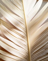 Close-up view of a single palm leaf reveals sharp textures emphasized by golden sunlight, evoking a sense of relaxation and escape to a tropical beach paradise