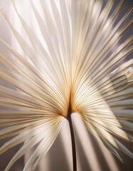 Sunlight filters through a beautifully textured palm leaf, creating a warm golden glow. This close-up invites feelings of relaxation and escape to a tropical island paradise