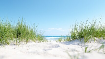 Serene beach view, seagrass framing ocean, summer vacation backdrop