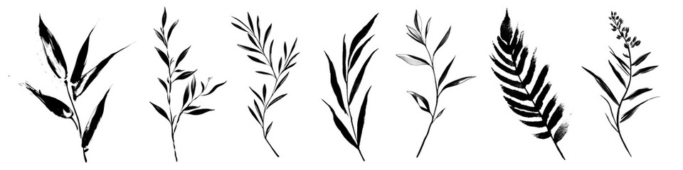 Naklejka premium PNG Elegant botanical leaf illustrations on transparent background