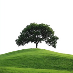Obraz premium A solitary tree stands majestically atop a vibrant green hill, showcasing nature's beauty in a minimalist landscape. The scene evokes feelings of tranquility and harmony.