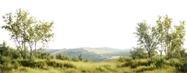 PNG Grassy hillside with trees overlooking a valley