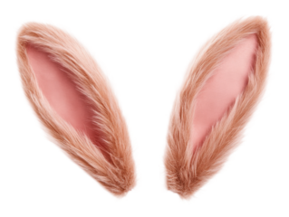 PNG Festive pink rabbit ears accessory