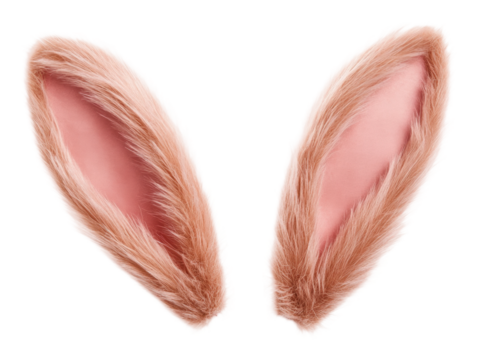 PNG Festive pink rabbit ears accessory