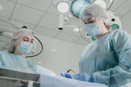 Operation in a veterinary clinic.