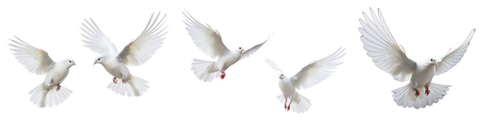 Obraz premium Flying white dove png cut out element set, transparent background