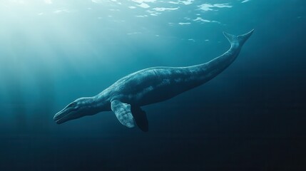 Fototapeta premium Plesiosaurus in Prehistoric Ocean, 3D illustration of a swimming marine reptile in a vibrant underwater scene, clear transparent background
