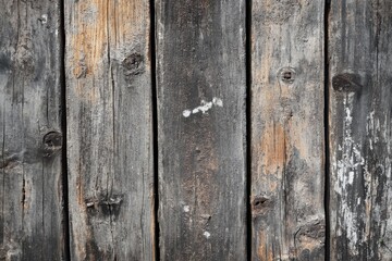 Fototapeta premium Rustic wooden pier with weathered planks and serene waterfront backdrop for tranquil nature photography enthusiasts