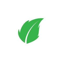 leaf nature icon vector illustration template design