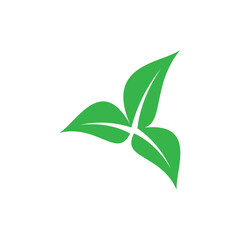 Obraz premium leaf nature icon vector illustration template design
