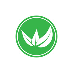 leaf nature icon vector illustration template design