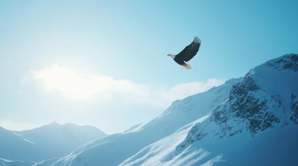 Bald eagle soaring above snow-covered mountains under a clear blue sky during daylight hours