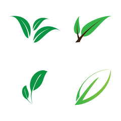 leaf ecology  logo and vector template