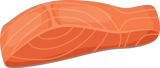 Salmon fillet resting on a crisp white background, highlighting its vibrant orange hue and delicate texture, perfect for various culinary creations and healthy meal options