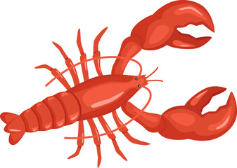 Cooked red lobster with open claws and spread legs, lying on its back, isolated on white background, ideal for seafood restaurant menu or luxury food concept